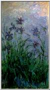 monet.iris.1.jpg [33166 octets]