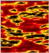 perlin_fire.jpg [25560 octets]