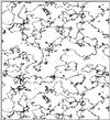 perlin_spot2.gif [19752 octets]