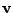 $\mathbf{v}$