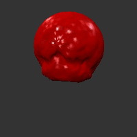 mesh sequence