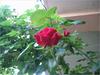 IMG_3416.JPG [2235035 octets]