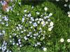 img_3256.jpg [3799835 octets]