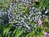img_3257.jpg [3837983 octets]