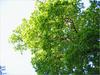 img_3263.jpg [3461715 octets]
