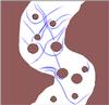 res4.gif [43994 octets]