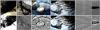 river.gif [294090 octets]