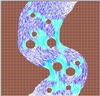 vit2.gif [69507 octets]