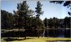 foret-lac2.jpg [99548 octets]