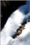 neige1.jpg [125476 octets]
