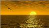 Worley5.gif [432629 octets]