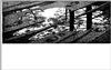 flaque.gif [23025 octets]