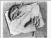 hands.gif [248674 octets]