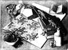 reptiles1943.gif [178774 octets]