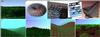 texels.jpg [236373 octets]