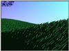 vprairie1.0004.jpg [67200 octets]