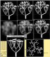 arbre1.gif.gz [232586 octets]