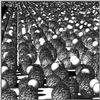 jardin.bil.gif.gz [202679 octets]