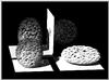 ronbui.gif.gz [27920 octets]