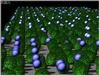 foretbuis.jpg [338713 octets]