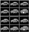 geomvw.gif [44406 octets]