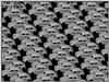geomvw3.gif [99810 octets]