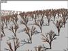 arbre2.jos.jpg [96246 octets]