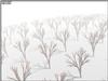 arbre3.jos.jpg [51258 octets]