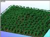 foret2.jpg [149009 octets]
