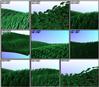 prairie2.jpg [398564 octets]
