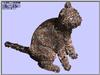 chat.opa025.jpg [52437 octets]