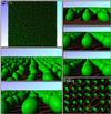 disto.cont1.gif [212600 octets]