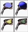 ivan10.gif [22674 octets]
