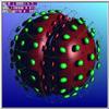 coccinelle.jpg [12237 octets]