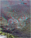 3457423490_34bb99f235_o.png [816216 octets]