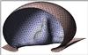 Scr_sim6_2.gif [79255 octets]