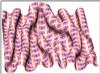 Scr_sim9_2.gif [118792 octets]