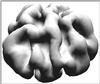ca01.gif [97138 octets]