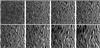 f2_pli.gif [583604 octets]