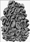 plis-jean2.gif [194546 octets]