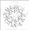 sim4.gif [141814 octets]
