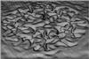 sim4b.gif [229310 octets]