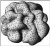 sphere_00a.gif [94239 octets]