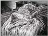 sleepers_lg.jpg [30875 octets]