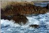 seaside2.jpg [123360 octets]