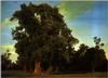 waldmuller2.jpg [240027 octets]