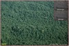 2-188-forest-canopy-earth.jpg [81206 octets]