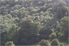 20070817_0101.JPG [398554 octets]