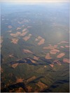 000490_l.jpg [1131606 octets]