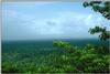amazonian1.gif [160346 octets]